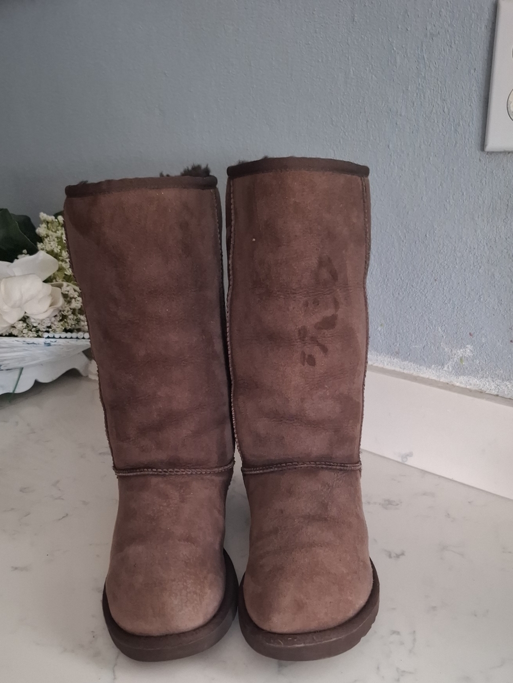 Ugg Tall Classic Brown Suede Women’s Winter Boots
